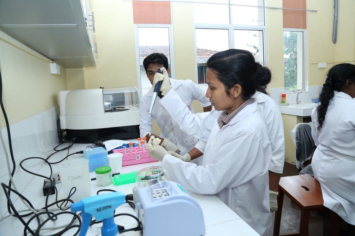 රසායනාගාර සේවා (Laboratory Services)